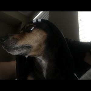 Meet your Posher, Sofia